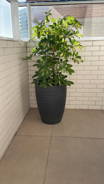 Apartamento à venda Guilhermina com 52m² e 1 quarto por R$ 335.000 - 161440033-whatsapp-image-2023-07-17-at-18.jpeg