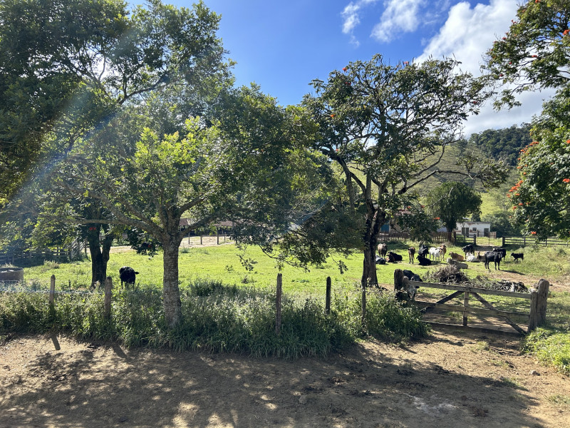 Fazenda à venda Centro com 1940000m² e 3 quartos por R$ 7.900.000 - 1010620977-img-5846.JPG