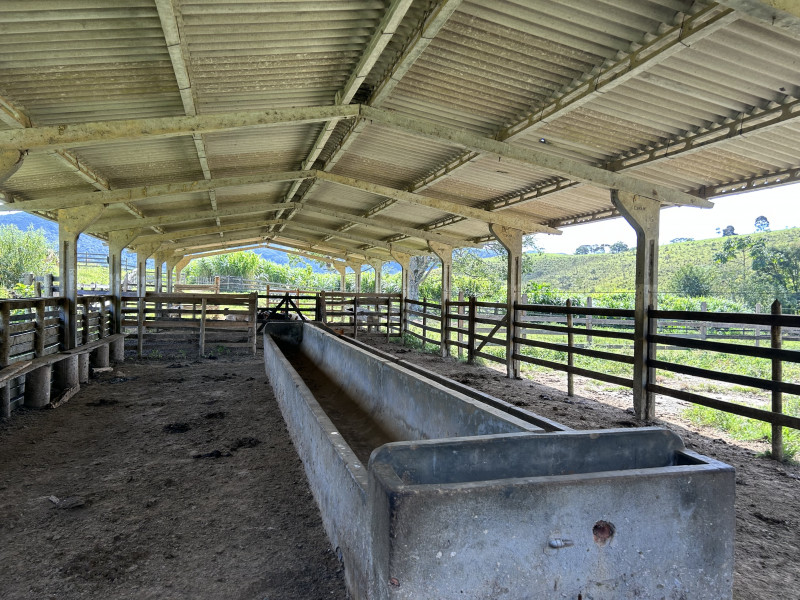 Fazenda à venda Centro com 1940000m² e 3 quartos por R$ 7.900.000 - 1031287903-img-5912.JPG