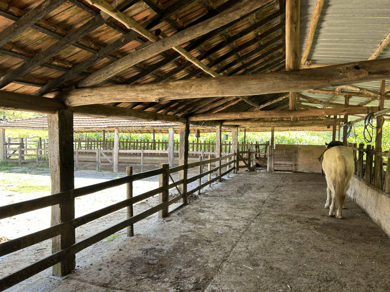 Fazenda à venda Centro com 1940000m² e 3 quartos por R$ 7.900.000 - 1348005509-img-5889.JPG