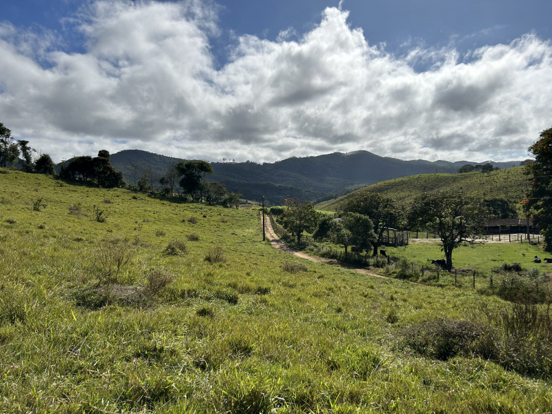 Fazenda à venda Centro com 1940000m² e 3 quartos por R$ 7.900.000 - 1364451679-img-5838.JPG