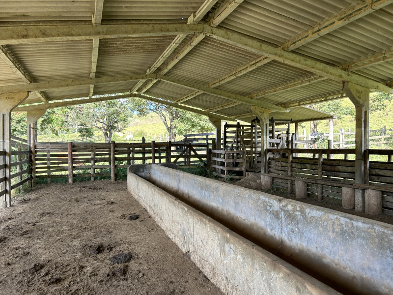 Fazenda à venda Centro com 1940000m² e 3 quartos por R$ 7.900.000 - 1859250557-img-5902.JPG