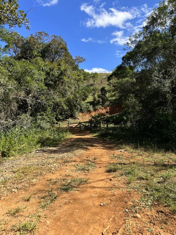 Fazenda à venda Centro com 1940000m² e 3 quartos por R$ 7.900.000 - 1875755497-img-5950.JPG