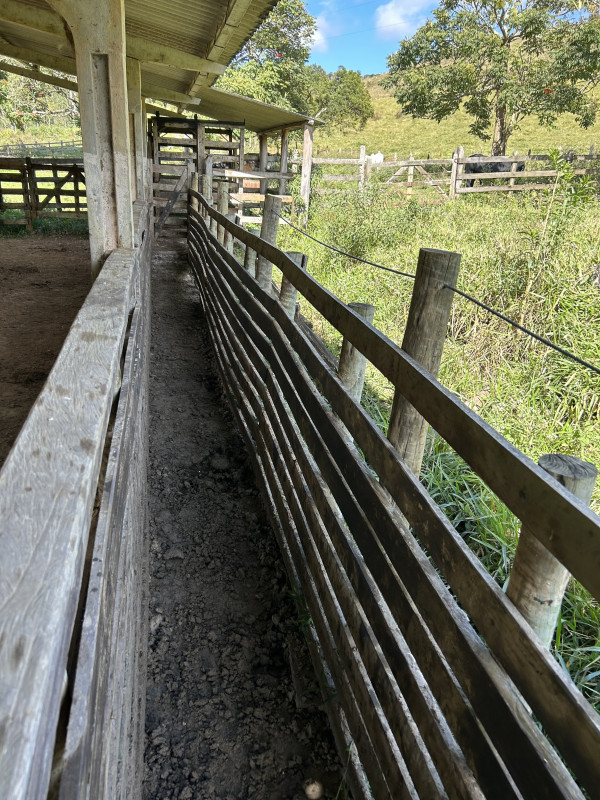 Fazenda à venda Centro com 1940000m² e 3 quartos por R$ 7.900.000 - 256031551-img-5905.JPG