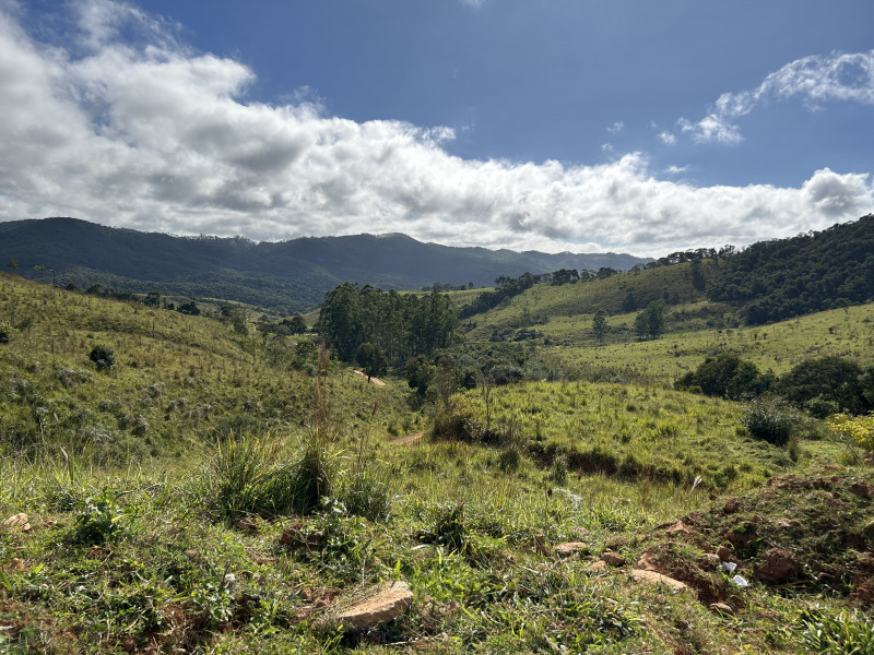 Fazenda à venda Centro com 1940000m² e 3 quartos por R$ 7.900.000 - 291385028-img-5832.JPG