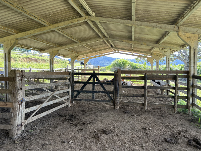 Fazenda à venda Centro com 1940000m² e 3 quartos por R$ 7.900.000 - 421871865-img-5903.JPG