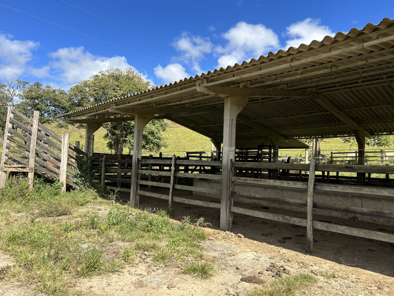 Fazenda à venda Centro com 1940000m² e 3 quartos por R$ 7.900.000 - 489601777-img-5900.JPG