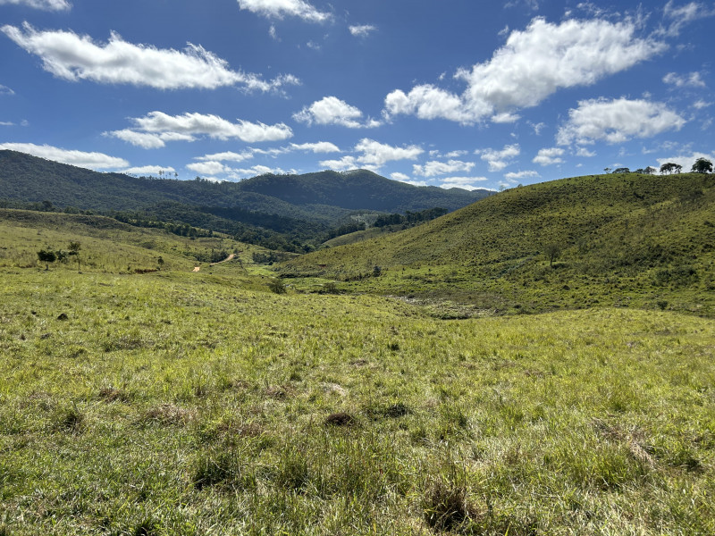 Fazenda à venda Centro com 1940000m² e 3 quartos por R$ 7.900.000 - 637249697-img-5922.JPG