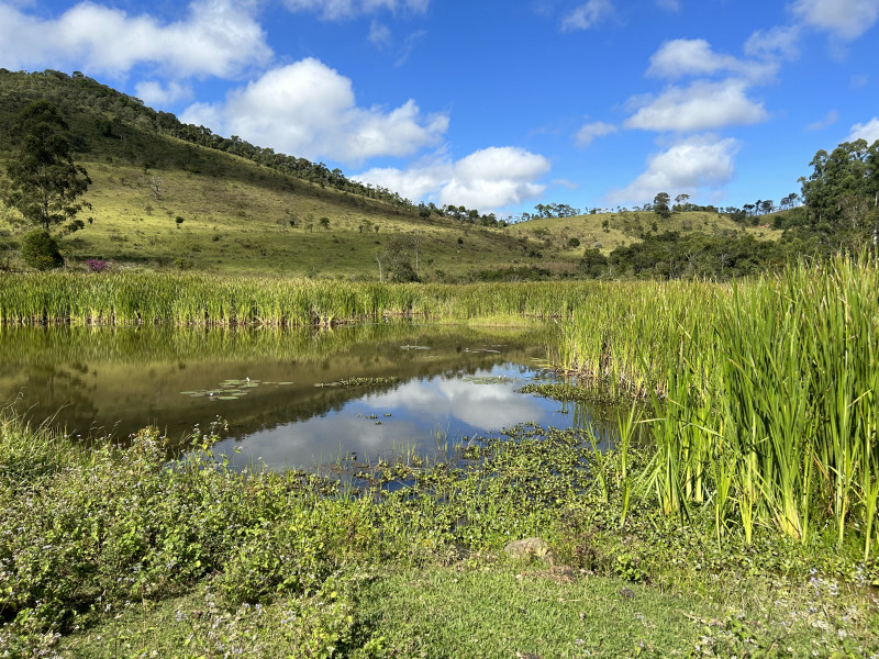Fazenda à venda Centro com 1940000m² e 3 quartos por R$ 7.900.000 - 836725327-img-5871.JPG
