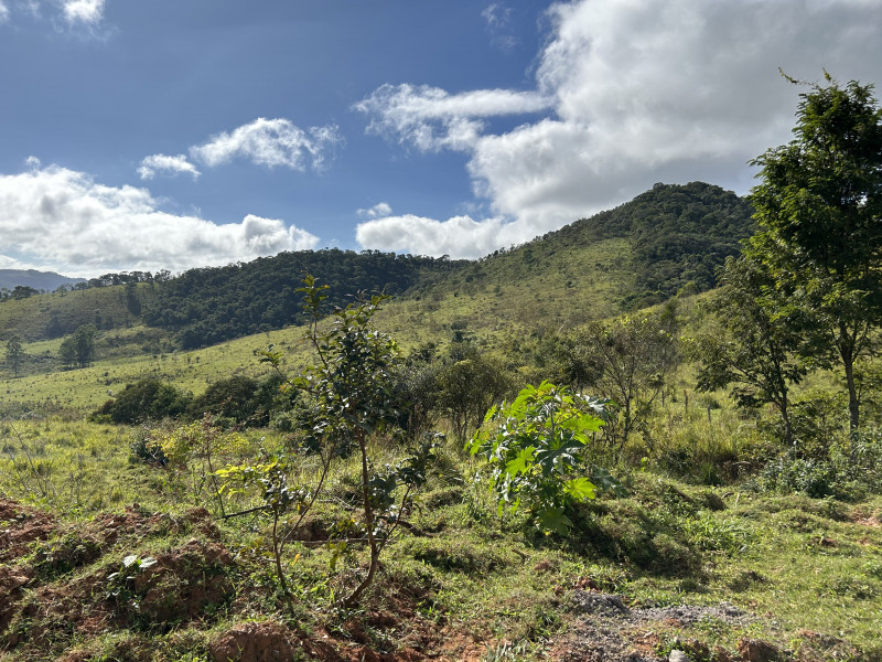 Fazenda à venda Centro com 1940000m² e 3 quartos por R$ 7.900.000 - 946474146-img-5829.JPG