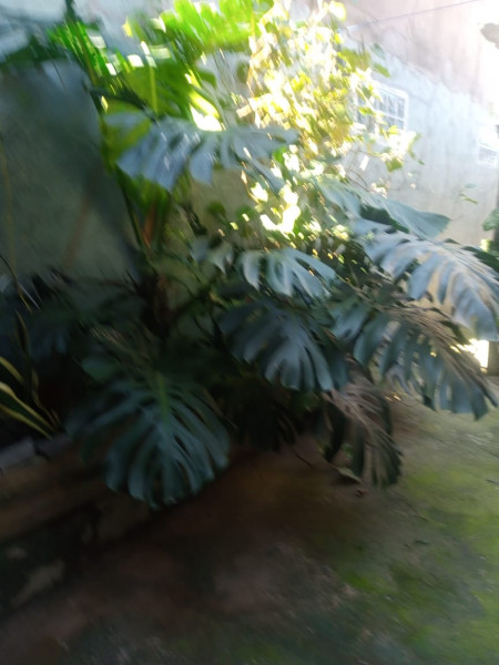 Casa à venda Jardim Nova Vitória I com 125m² e 1 quarto por R$ 230.000 - 181369578-img-20230731-wa0124.jpg