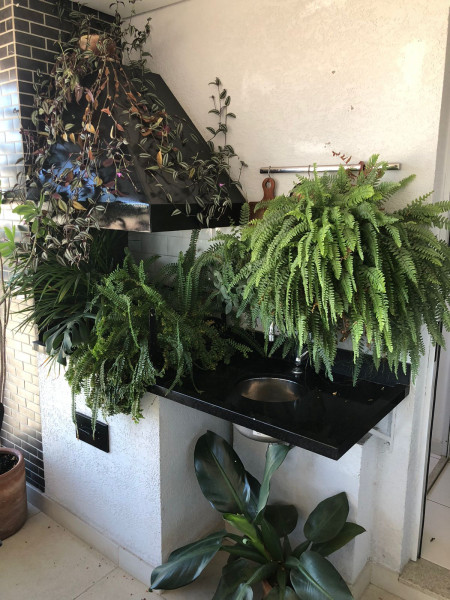 Apartamento à venda Vila Mariana com 72m² e 2 quartos por R$ 1.250.000 - 391147216-whatsapp-image-2023-06-26-at-13.jpeg