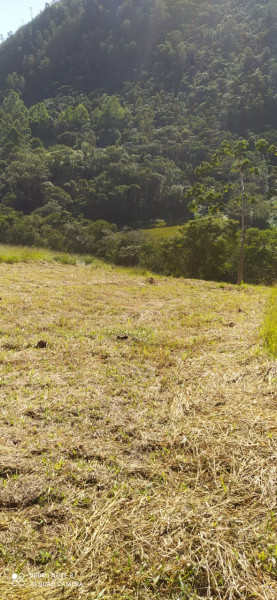 Terreno à venda Vale Alpino com 483m² e 1 quarto por R$ 95.000 - 1510892230-img-20220518-wa0007.jpg