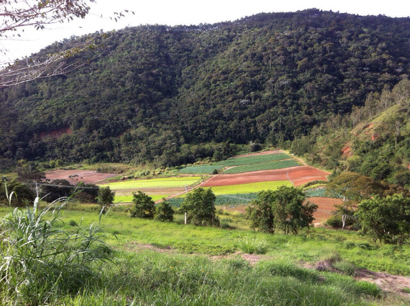 Terreno à venda Vale Alpino com 483m² e 1 quarto por R$ 95.000 - 1704844521-img-20151007-wa0014.jpg