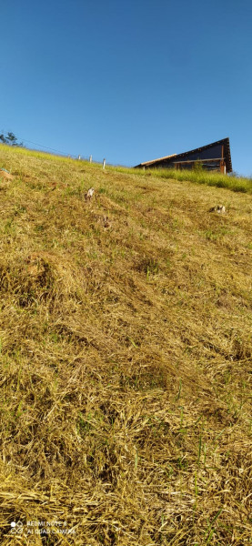 Terreno à venda Vale Alpino com 483m² e 1 quarto por R$ 95.000 - 533679977-img-20220518-wa0009.jpg