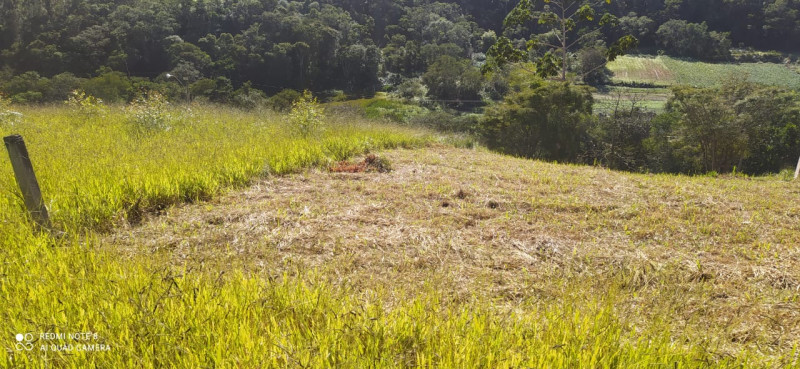 Terreno à venda Vale Alpino com 483m² e 1 quarto por R$ 95.000 - 615416241-img-20220518-wa0000.jpg
