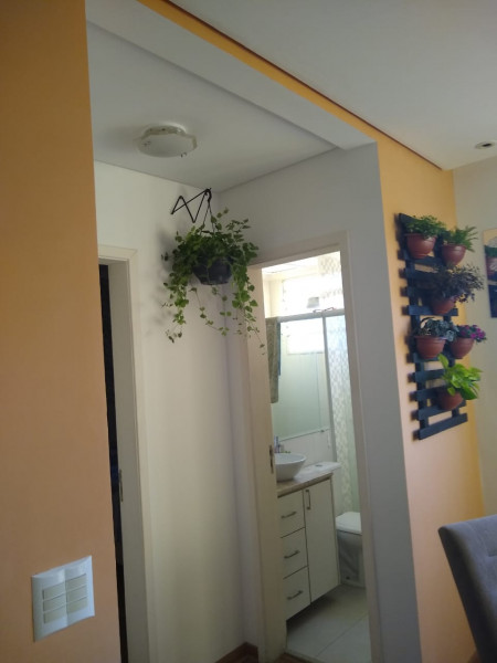 Apartamento à venda Gramadão com 52m² e 2 quartos por R$ 270.000 - 752255834-whatsapp-image-2023-08-02-at-06.jpeg