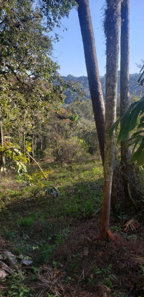 Terreno à venda Porta do Sol com 5750m² e 1 quarto por R$ 1.500.000 - 1220578699-terreno-4.jpg