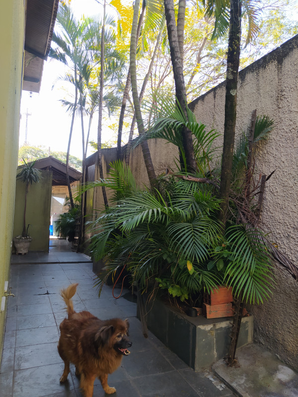 Casa à venda Itaim Paulista com 280m² e 4 quartos por R$ 980.000 - 372140680-inbound5354291236549663547.jpg