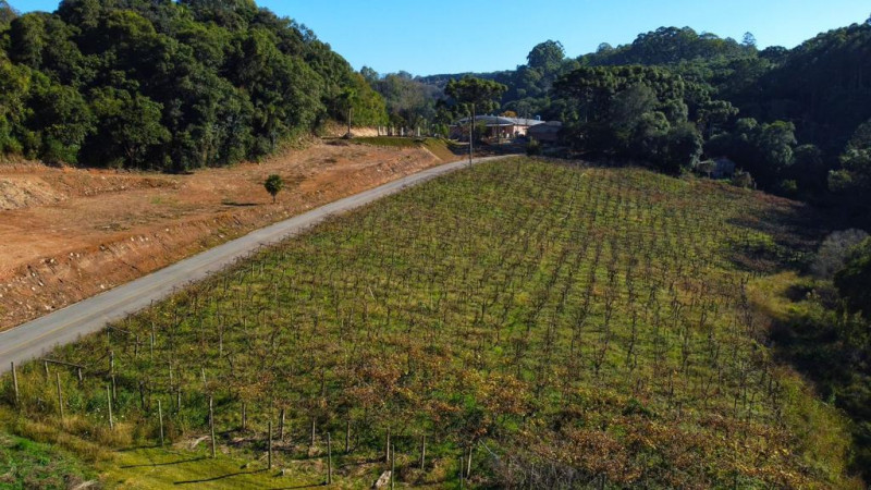 Terreno à venda Centro com 70000m² e 1 quarto por R$ 1.500.000 - 1293837046-whatsapp-image-2023-07-05-at-13.jpeg