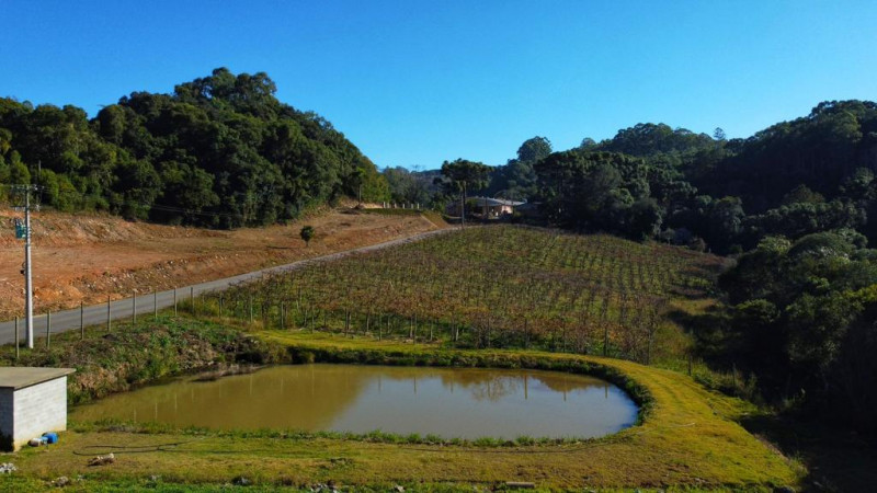 Terreno à venda Centro com 70000m² e 1 quarto por R$ 1.500.000 - 418780851-whatsapp-image-2023-07-05-at-13.jpeg