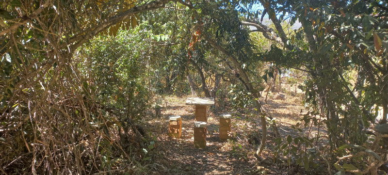 Flat à venda Centro com 60m² e 2 quartos por R$ 640.000 - 972302630-20230806-120206.jpg