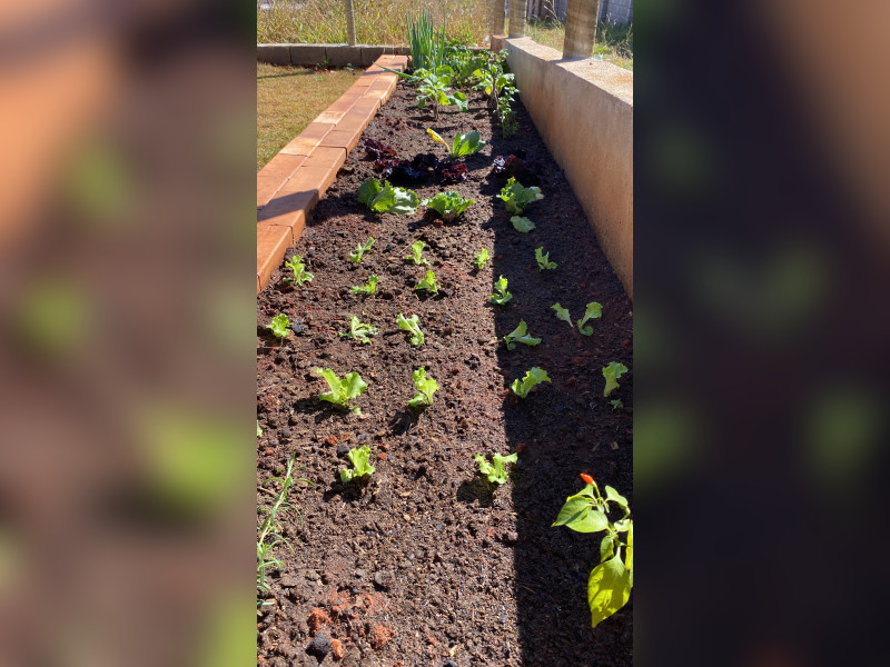 Casa à venda Lagoa mansoes com 337m² e 4 quartos por R$ 1.050.000 - 82c4d7d0-408a-4be8-8cf6-d611d836a7b8.jpeg