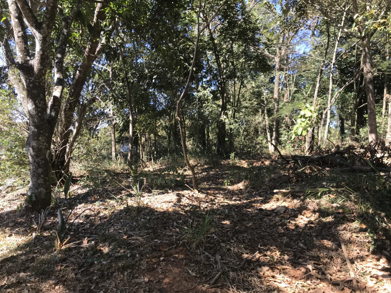 Comercial à venda Centro com 777m² e 1 quarto por R$ 5.000.000 - 1785454931-28.jpg