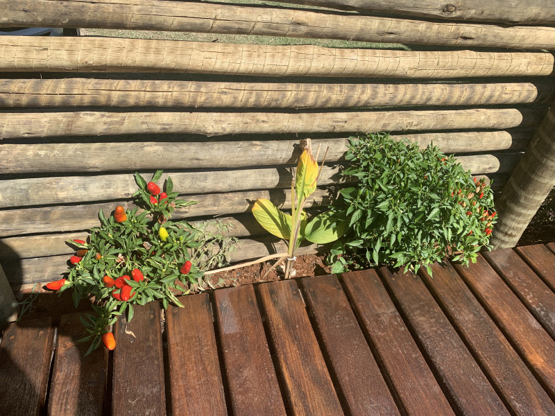 Casa de condomínio à venda Parque Rio Abaixo com 400m² e 3 quartos por R$ 660 - 1908545008-img-1232.jpeg