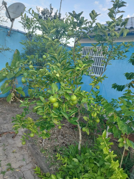 Casa à venda Tramandaí com 299m² e 2 quartos por R$ 279.000 - 728289182-whatsapp-image-2023-08-07-at-17.jpeg