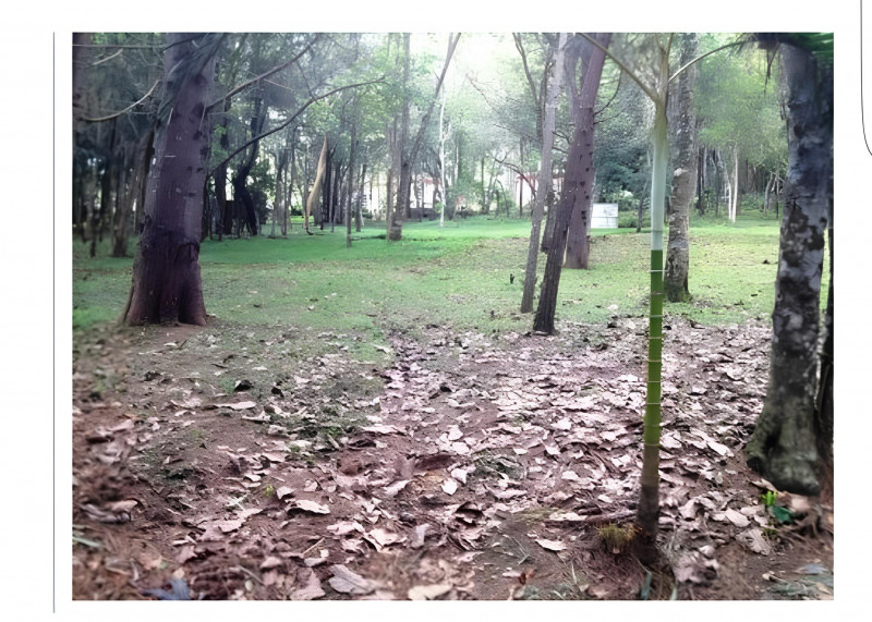 Chácara à venda Engenho com 22m² e 4 quartos por R$ 4.500.000 - 814377016-b0f1611f-f7f3-47af-9d5c-d6cace38d115.jpg