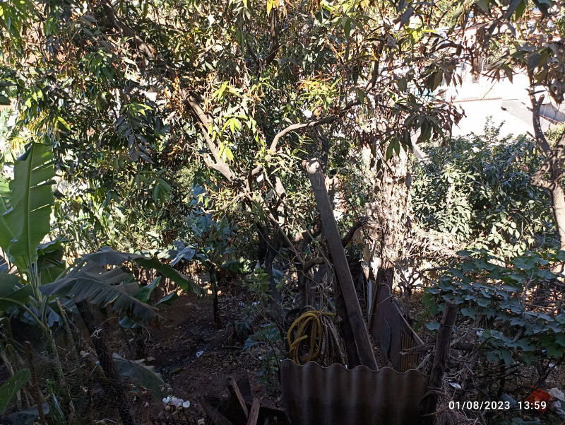 Casa à venda Celvia com 360m² e 4 quartos por R$ 1.300.000 - 2016667581-img-20230801-135921.jpg