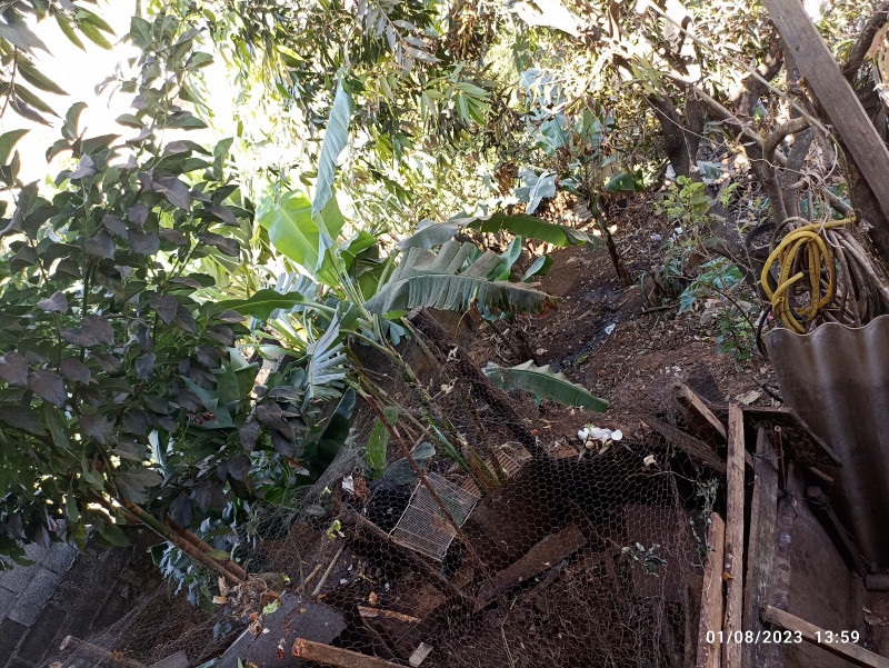 Casa à venda Celvia com 360m² e 4 quartos por R$ 1.300.000 - 272365713-img-20230801-135929.jpg