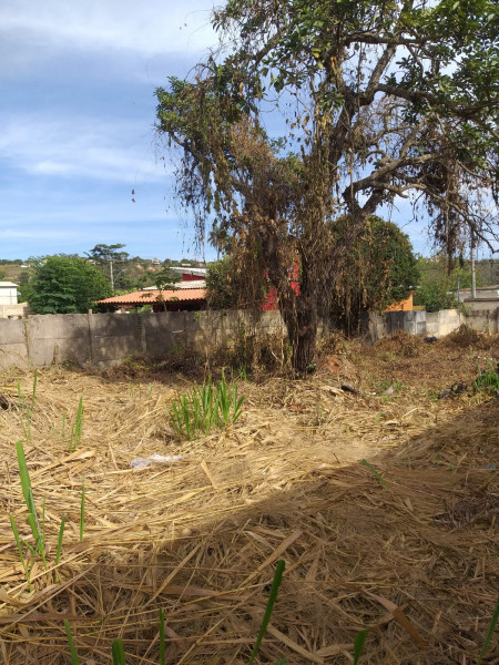 Terreno à venda Centro com 470m² e 1 quarto por R$ 165.000 - 1010064219-whatsapp-image-2023-08-08-at-16.jpeg