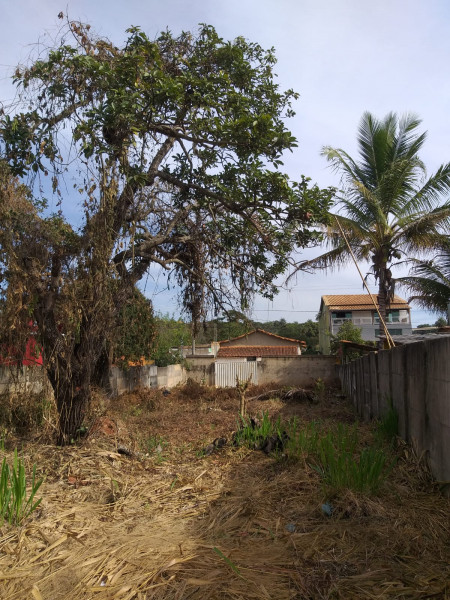 Terreno à venda Centro com 470m² e 1 quarto por R$ 165.000 - 1921671302-whatsapp-image-2023-08-08-at-16.jpeg