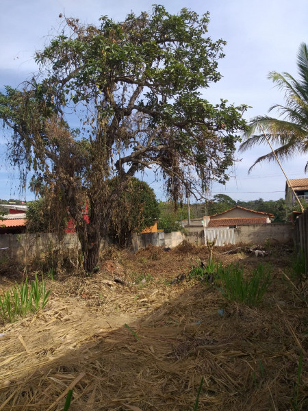 Terreno à venda Centro com 470m² e 1 quarto por R$ 165.000 - 31930274-whatsapp-image-2023-08-08-at-16.jpeg