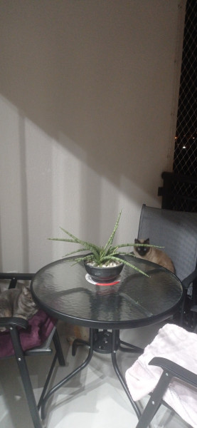 Apartamento à venda Engordadouro com 72m² e 3 quartos por R$ 670.000 - 1640014420-img-20230726-194744.jpg