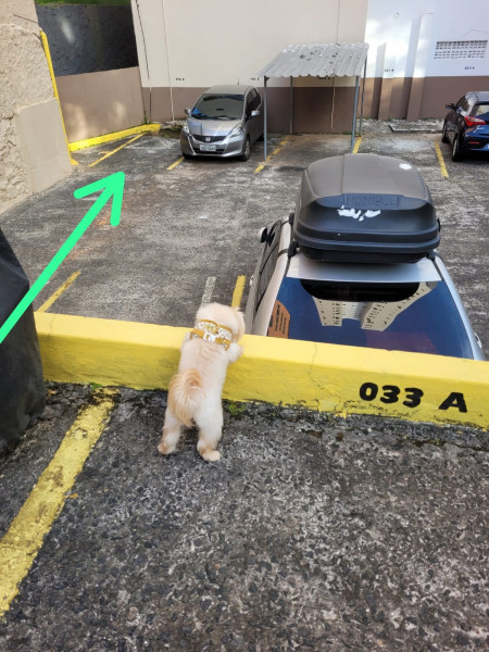 Apartamento à venda Matatu com 62m² e 2 quartos por R$ 270.000 - 1512617509-img-20230502-wa0049.jpg