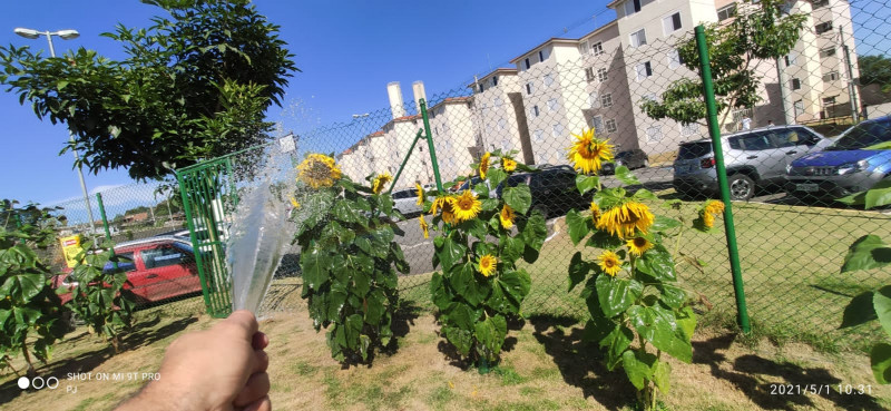 Apartamento à venda Parque Santa Rosa com 46m² e 2 quartos por R$ 200.000 - 601508477-img-20211015-wa0081.jpg