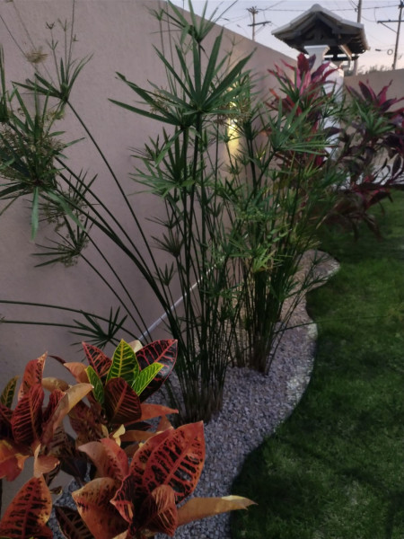 Casa à venda Fazendinha com 141m² e 2 quartos por R$ 379.000 - 1300997763-1000032889.jpg