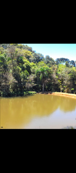 Chácara à venda Palmitalzinho com 20000m² e 3 quartos por R$ 740.000 - 109140244-screenshot-20230810-193311.png