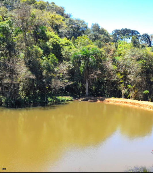 Chácara à venda Palmitalzinho com 20000m² e 3 quartos por R$ 740.000 - 2134270444-screenshot-20221027-223927.png