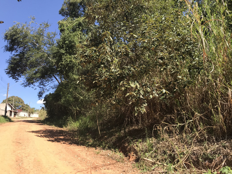 Terreno à venda Recanto dos Pássaros com 1665m² e 1 quarto por R$ 215.000 - 1098269397-img-9820.jpg