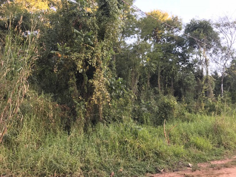 Terreno à venda Recanto dos Pássaros com 1665m² e 1 quarto por R$ 215.000 - 1151370082-img-5155.jpg