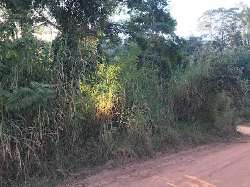 Terreno à venda Recanto dos Pássaros com 1665m² e 1 quarto por R$ 215.000 - 2118277899-img-5151.jpg