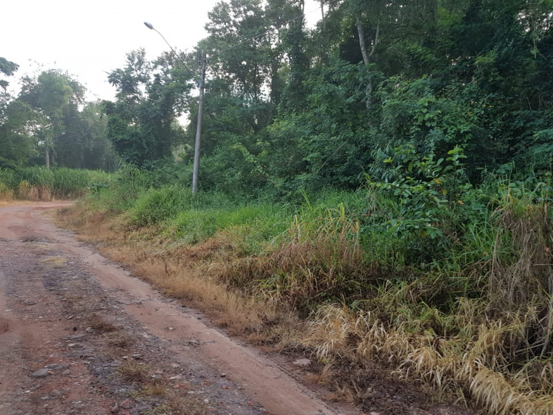 Terreno à venda Recanto dos Pássaros com 1665m² e 1 quarto por R$ 215.000 - 796200441-photo-2018-12-20-06-50-20-8.jpg