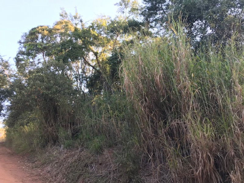 Terreno à venda Recanto dos Pássaros com 1665m² e 1 quarto por R$ 215.000 - 835956296-img-5152.jpg