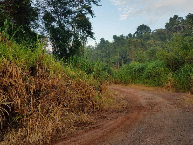 Terreno à venda Recanto dos Pássaros com 1665m² e 1 quarto por R$ 215.000 - 967135355-photo-2018-12-20-06-50-16-5.jpg