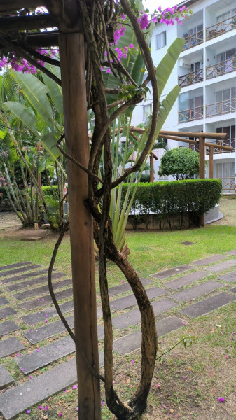 Apartamento à venda Catu de Abrantes com 56m² e 2 quartos por R$ 265.000 - 1579632249-photo-2023-07-28-13-09-35.jpg