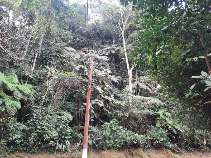 Terreno à venda Parque Suica com 3000m² e 1 quarto por R$ 300.000 - 1257133695-img-20230809-wa0011.jpg